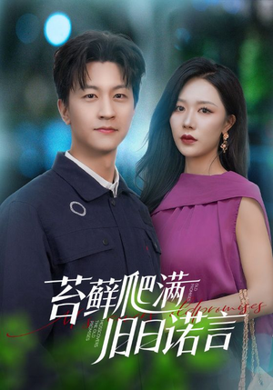 情途难负（83集）免费观看最新短剧大结局
