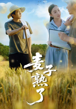 麦子熟了（52集）火爆短剧来袭好看又上头的短剧
