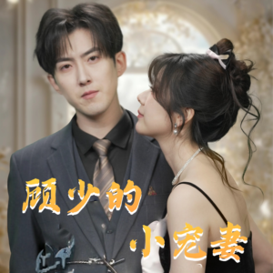 顾少的小宠妻（90集）在线看短剧全集免费看