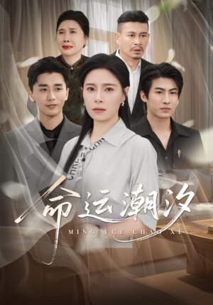 命运潮汐（62集）深夜短剧精彩分享