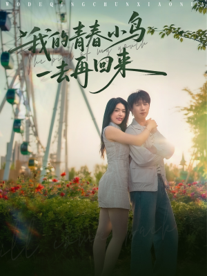 我的青春小鸟一去再回来（95集）这部短剧我爱了推荐平台