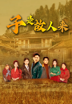 子是故人来（65集）精彩短剧连连免费看