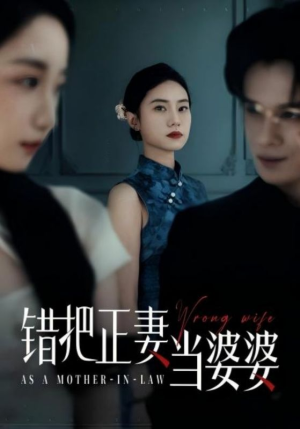 错把正妻当婆婆（46集）红果免费短剧