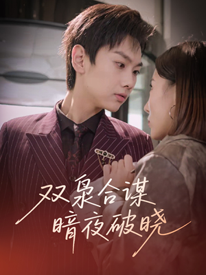 双枭合谋暗夜破晓（30集）我全都看完了的经典短剧