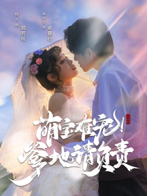 萌宝难宠爹地请负责（80集）甜宠短剧追到爽