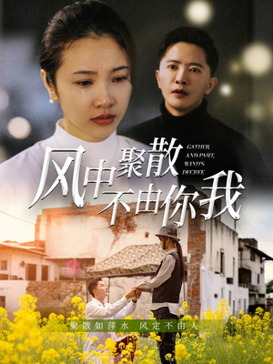 风中聚散不由你我（41集）短剧追到爽热播短剧