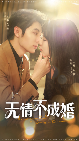 无情不成婚（70集）我是土狗我爱看热门短剧