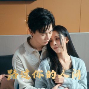 路过你的人间（31集）免费看短剧全集