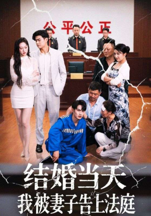 结婚当天我被妻子告上法庭（30集）无需注册短剧在线免费看