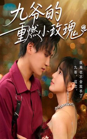 九爷的重燃小玫瑰（67集）短剧小说在线看