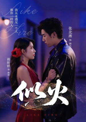 似火（80集）无需会员短剧免费看