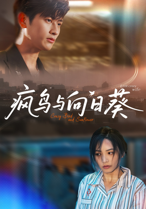 疯鸟与向日葵（40集）短剧最终回限免畅看