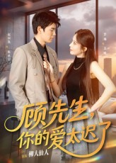 顾先生你的爱太迟了（60集）全集短剧免费完整版在线观看