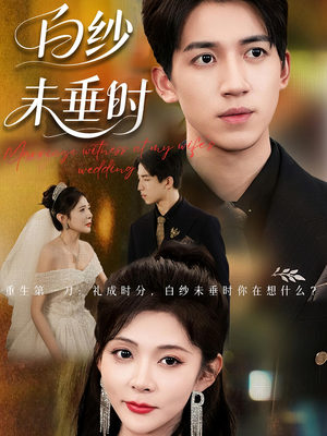 老婆婚礼，我当证婚人（54集）精彩短剧天天看
