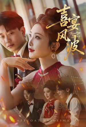 替罪伴娘（30集）短剧小说在线看