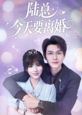陆总今天要离婚（81集）熬夜必追完的热门短剧