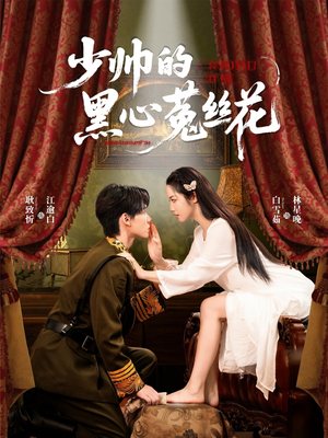 少帅的黑心菟丝花（60集）在线观看短剧完整版