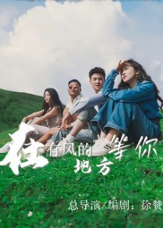 在有风的地方等你（32集）短剧演员排行榜