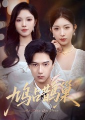 顶流夫人的致命陷阱（70集）红果短剧免费看全局
