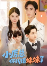 小厉总你找错妹妹了（52集）整部短剧免费看个够