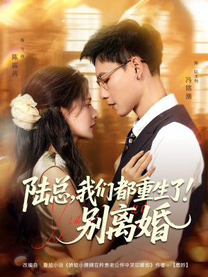 陆总我们都重生了别离婚（79集）高分推荐短剧免费看