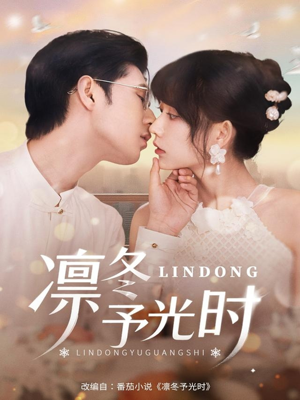 凛冬予光时（60集）精彩短剧天天看