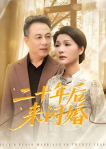 二十年后来闪婚（60集）一键在线观看全集短剧