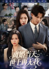 离婚当天世上再无我（60集）一键在线观看全集短剧
