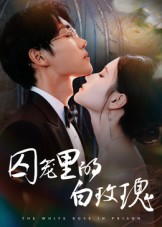 囚笼里的白玫瑰（59集）抢先看热门短剧