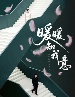 暖暖知我意（61集）火爆热播短剧抢先看全集