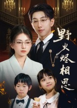 野火烬相思（61集）好看的短剧来了