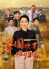 举国欢宴难归家（40集）火爆短剧推荐抢先看全集