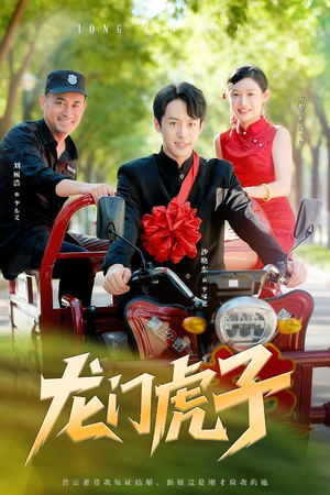 龙门虎子（72集）每天热门短剧推荐