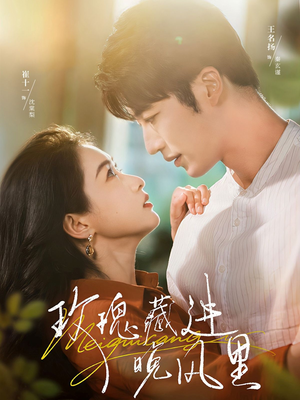 玫瑰藏进晚风里（68集）排行榜前十短剧免费观看网站