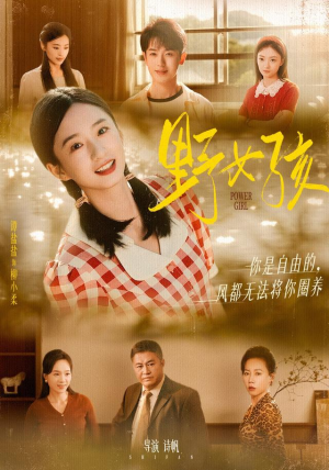 野女孩（91集）在线观看全集的热门短剧推荐