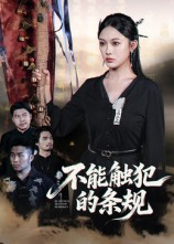 不能触犯的条规（50集）看完还想看的精彩短剧