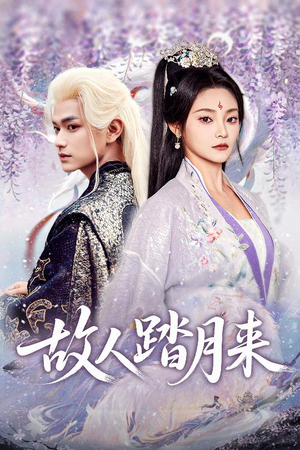 故人踏月来（60集）全集免费看短剧