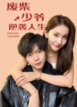 废柴少爷的逆袭人生（75集）热播短剧抢先看后续
