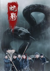蛇影（25集）千万短剧流量抢先看大结局