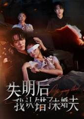 失明后我认错了未婚夫（34集）免费短剧完整版在线观看