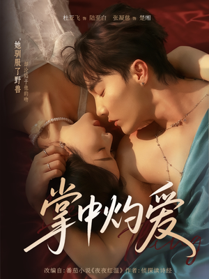 掌中灼爱（62集）追风的女孩短剧