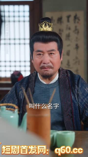 鼠蛇也敢遮龙目（53集）短剧追到爽热播短剧