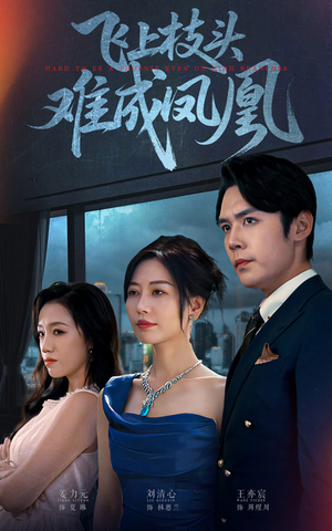 飞上枝头难成凤凰（47集）热门短剧好看又上头