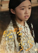 昭昭岁岁（30集）短剧女演员排行榜