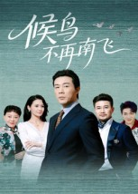 候鸟不再南飞（80集）火爆短剧精彩分享