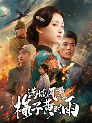 满城风絮梅子黄时雨（58集）热播短剧抢先看全集