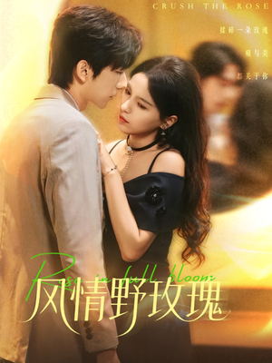 揉碎玫瑰（70集）热门短剧看不停