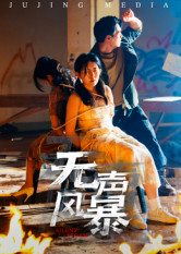 无声风暴（33集）在线即可畅享全集短剧