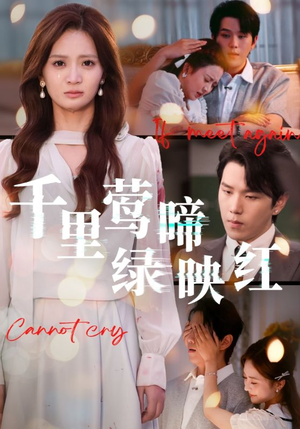 千里莺啼绿映红（63集）万里归乡短剧精彩剧情