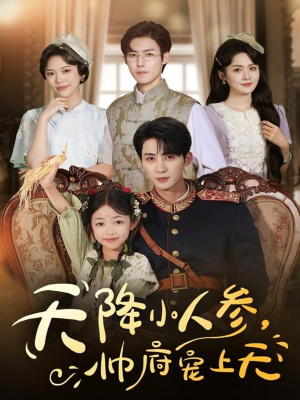 天降小人参，帅府宠上天（83集）不要钱看完整部短剧